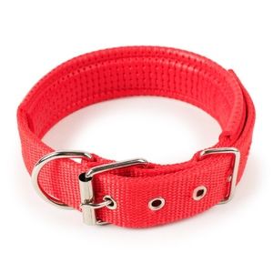 Dog Collar